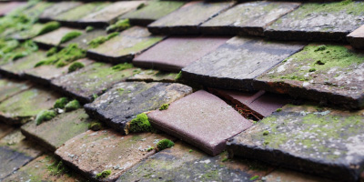 Abington roof repair costs